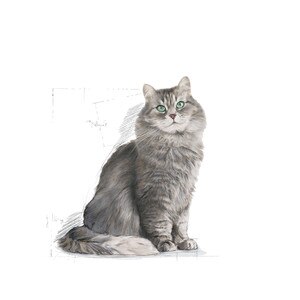 ROYAL CANIN® Sensible 33 400g